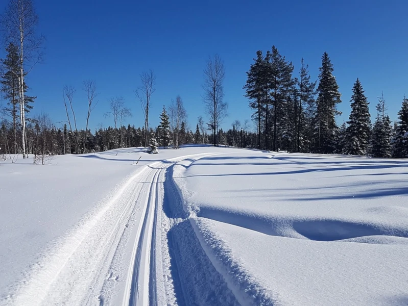 Uczniowie pracujący nad wspólnym projektem